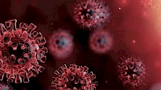 The impact of Covid-19 on world sport